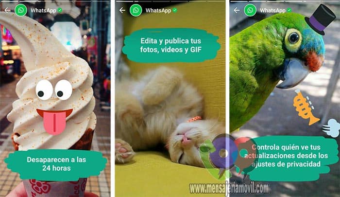 WhatsApp Estados
