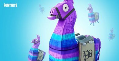 Fortnite v5