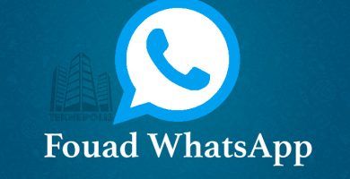 Fouad WhatsApp