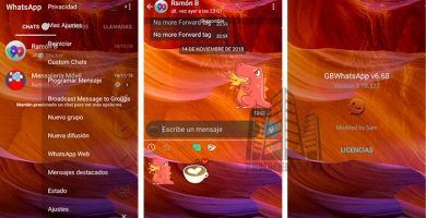 imagen GBWhatsApp Transparente Prime