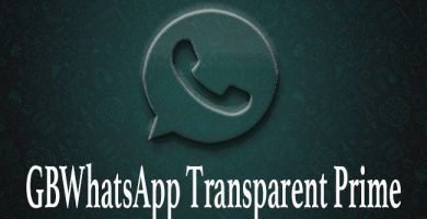 imagen GBWhatsApp Transparent Prime